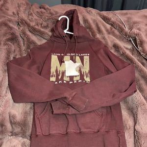 blue 84 MN lake pepin hoodie
